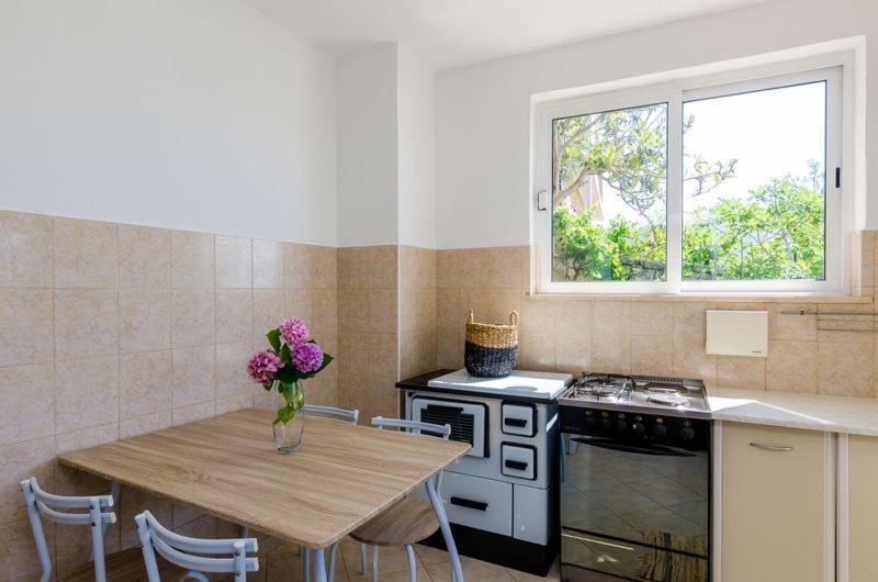 דוברובניק Apartment Pavo מראה חיצוני תמונה