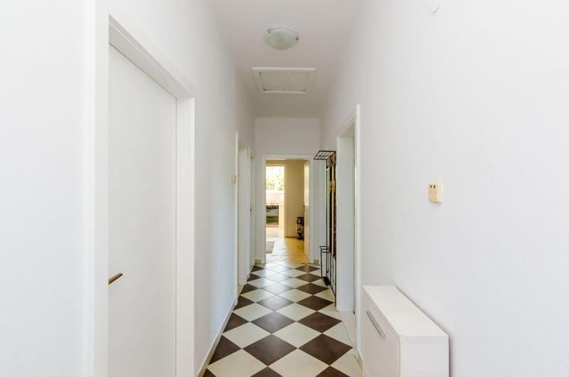 דוברובניק Apartment Pavo מראה חיצוני תמונה