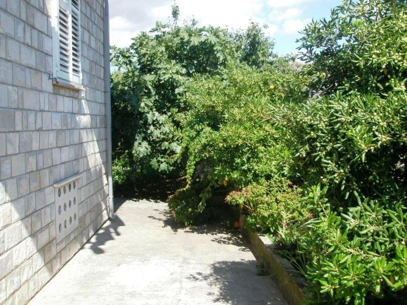 דוברובניק Apartment Pavo מראה חיצוני תמונה